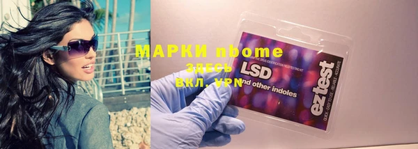 шишки Михайловск