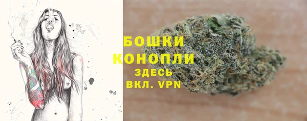 мдпв Медногорск