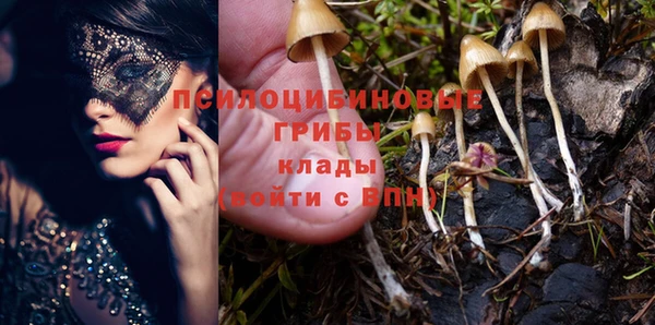 мескалин Михайлов