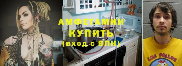 шишки Михайловск