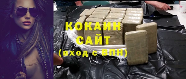 шишки Михайловск