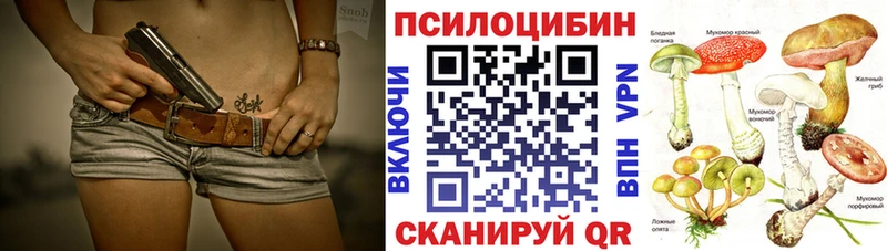 купить наркоту  Сосновоборск  Псилоцибиновые грибы Cubensis 