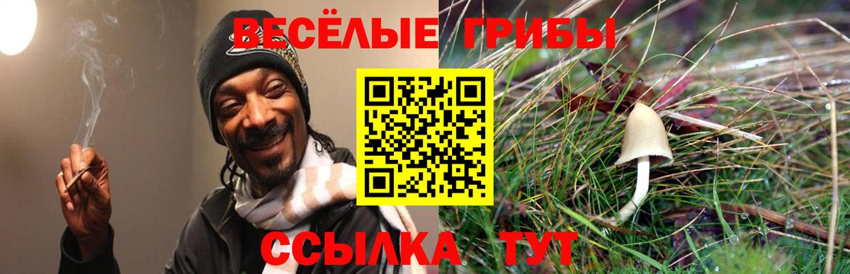 Галлюциногенные грибы прущие грибы  Вход с VPN  Сосновоборск 
